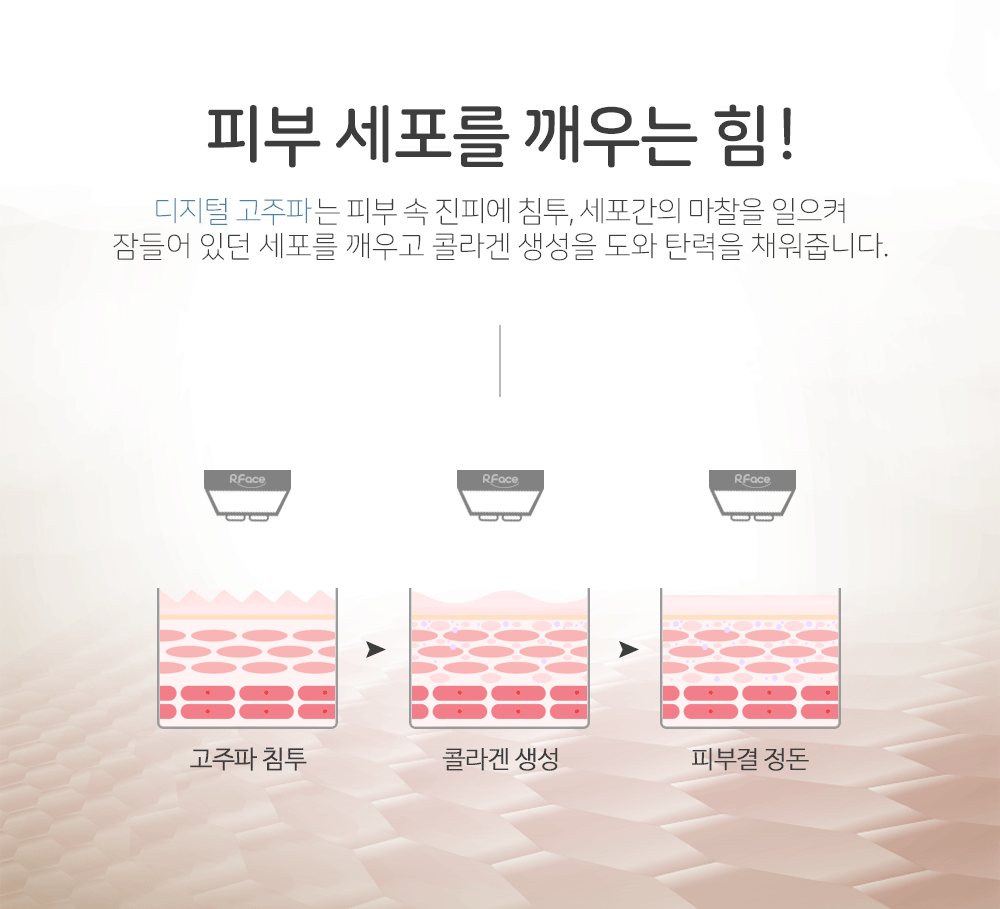 보탬 알페이스