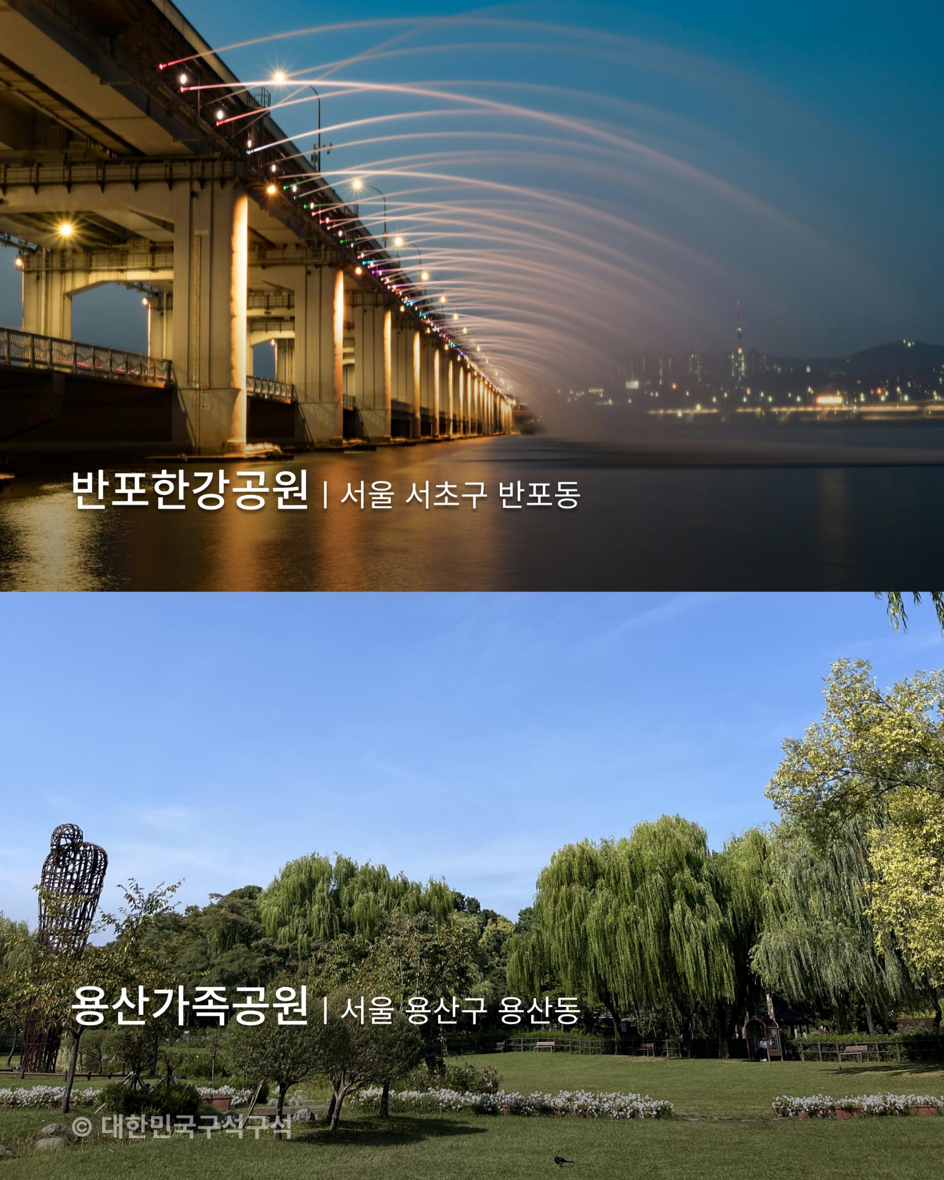 피크닉,데이트,나들이,공원,accenton,accentonspextrum,accentonlife