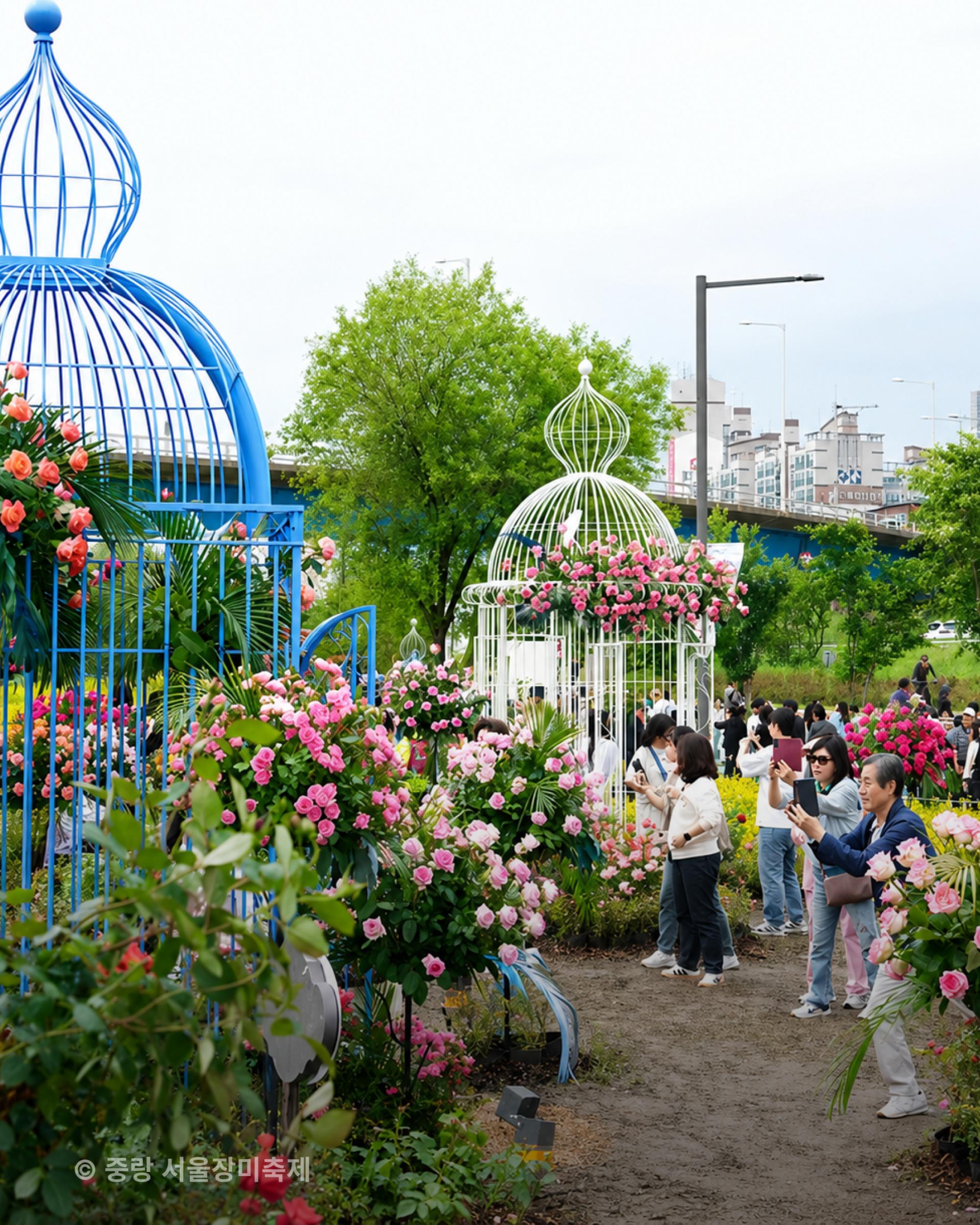 로즈데이, 꽃, 꽃다발, 데이트, accenton, accentonspextrum, accentoninspiration
