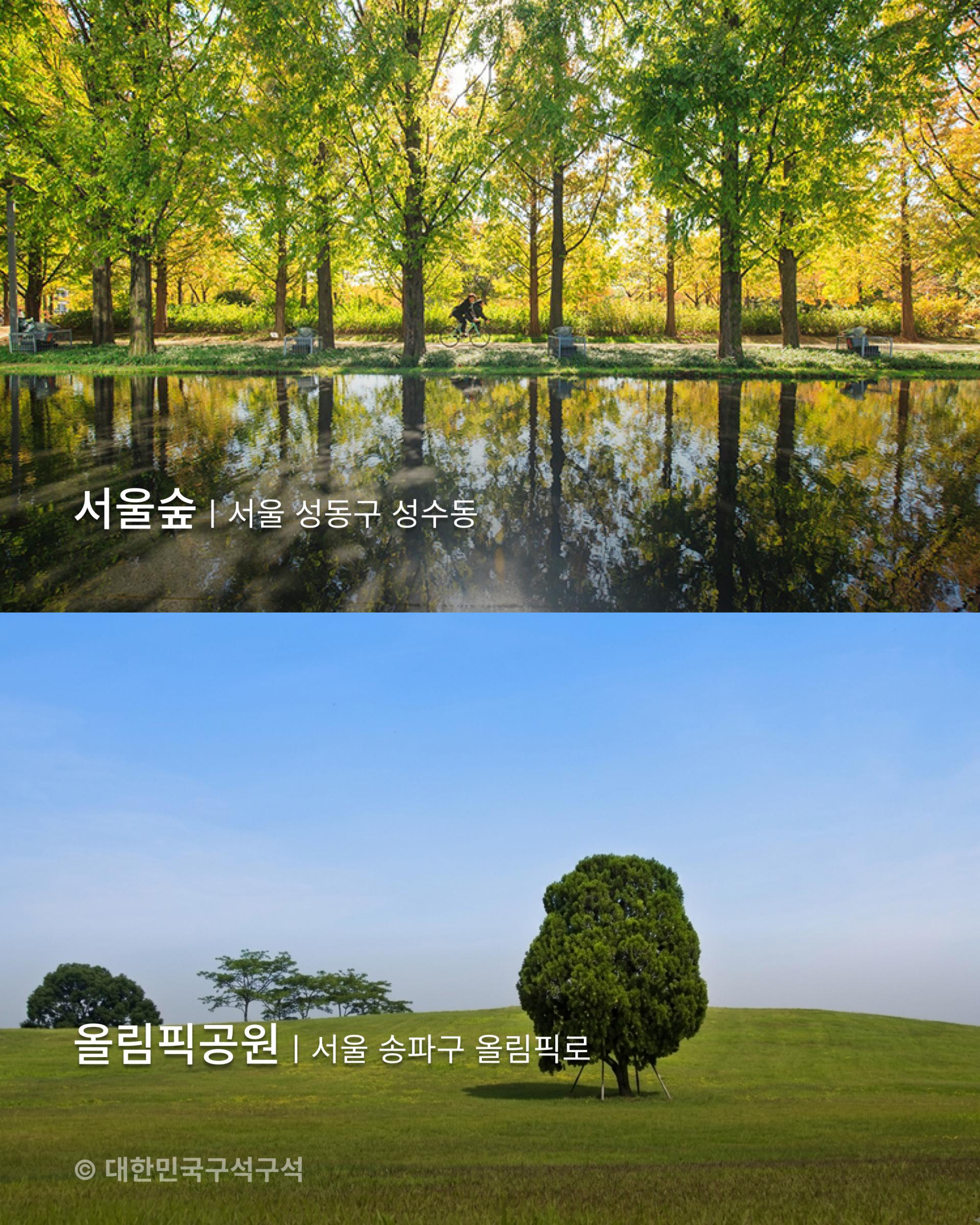 피크닉,데이트,나들이,공원,accenton,accentonspextrum,accentonlife