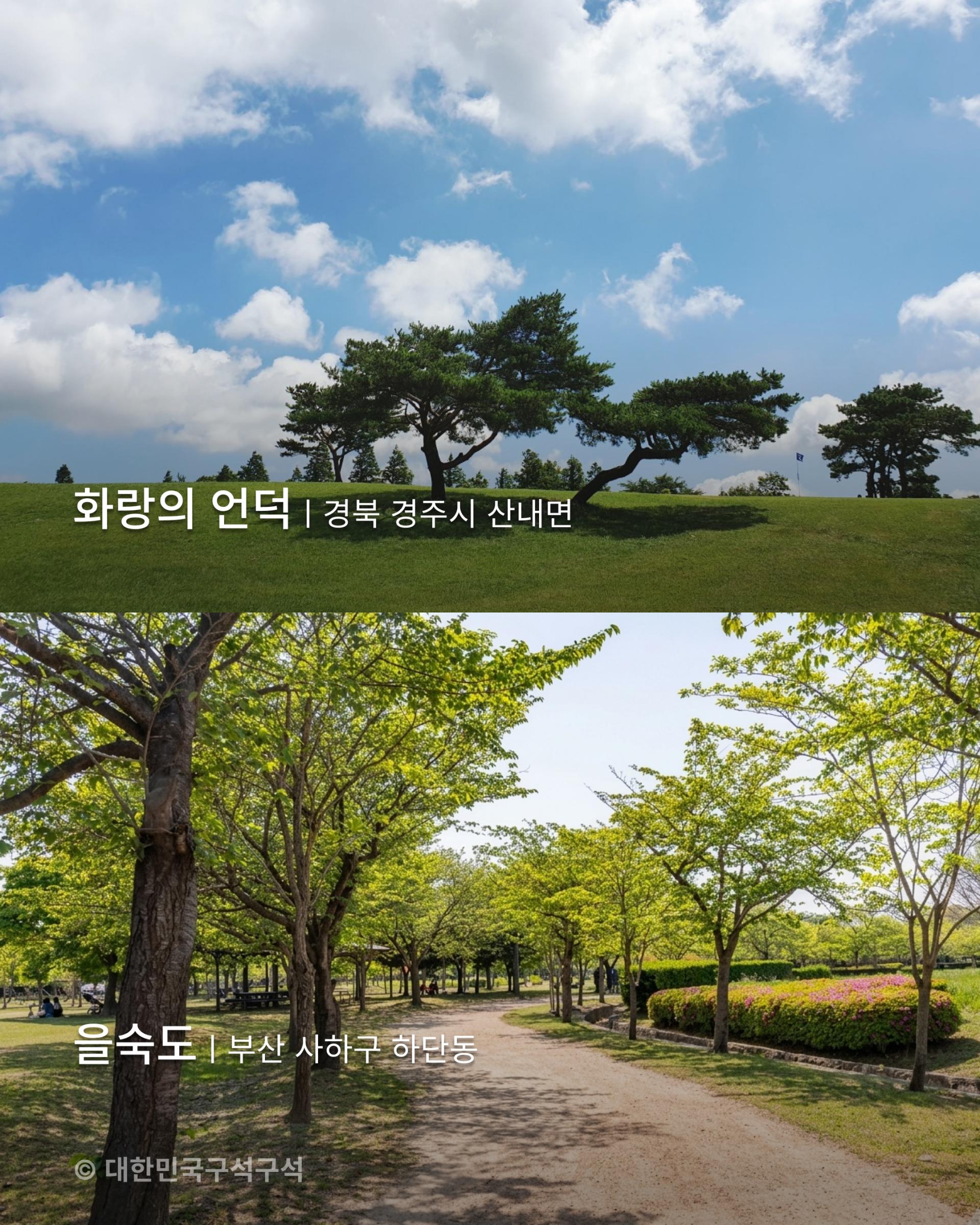 피크닉,데이트,나들이,공원,accenton,accentonspextrum,accentonlife