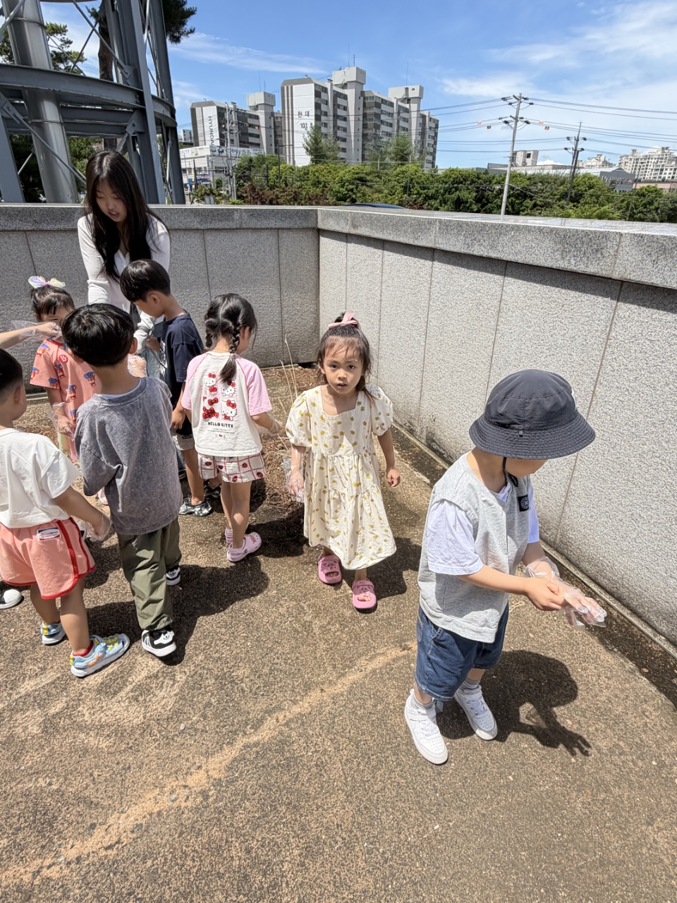 d9807381bd195.jpg
