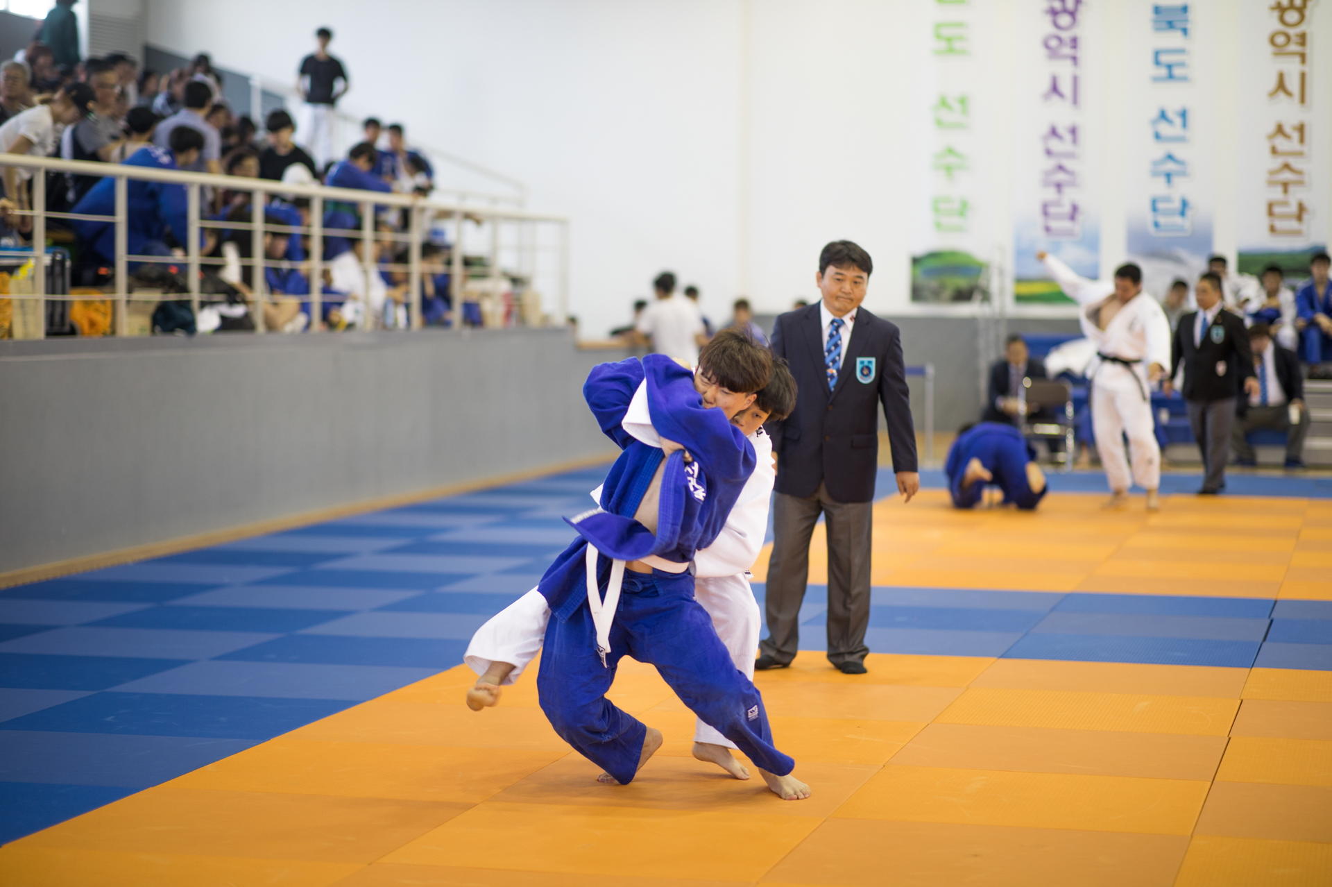 5b14bf6a9824e.jpg