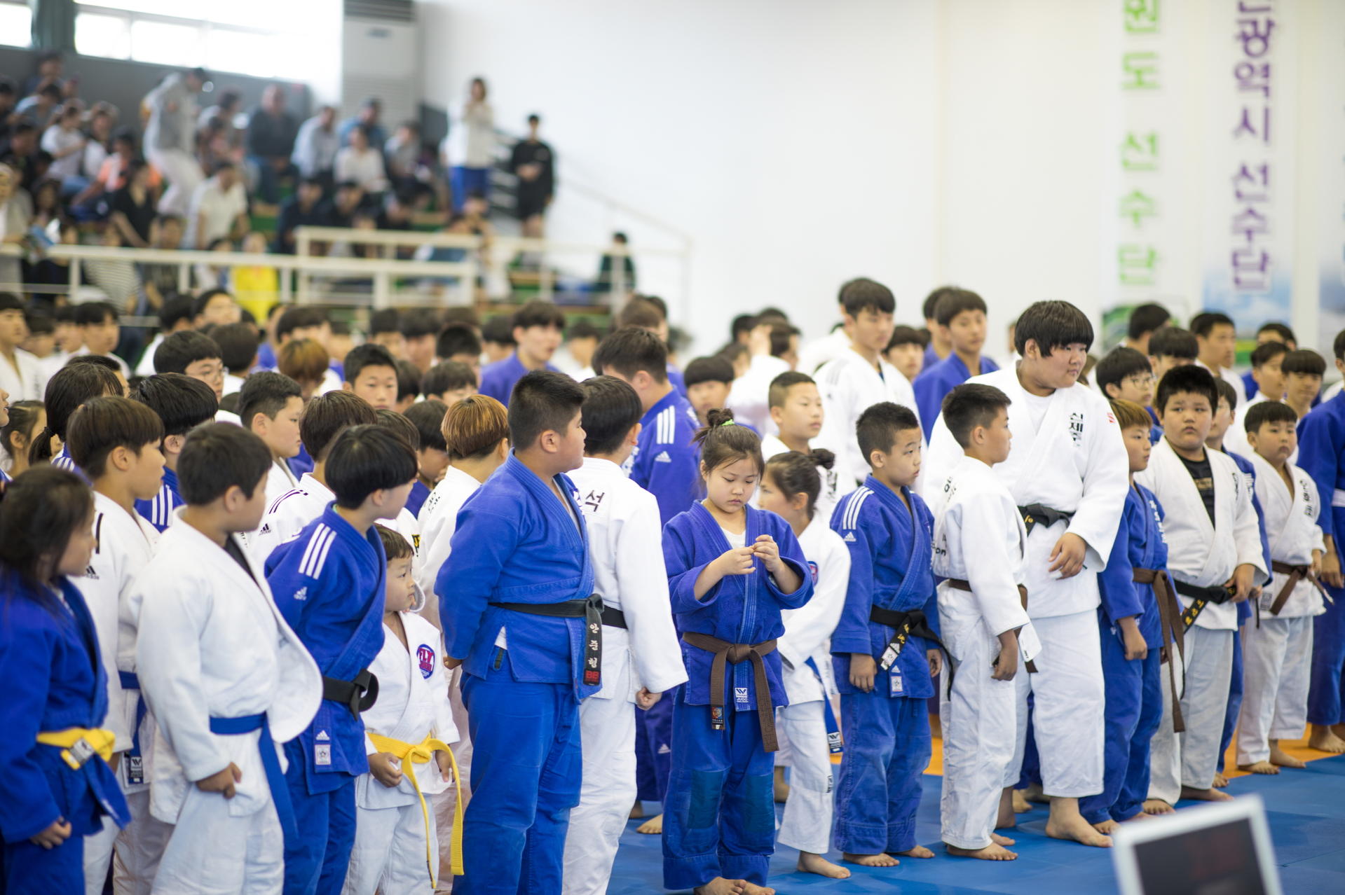5b14bf6b2cec3.jpg