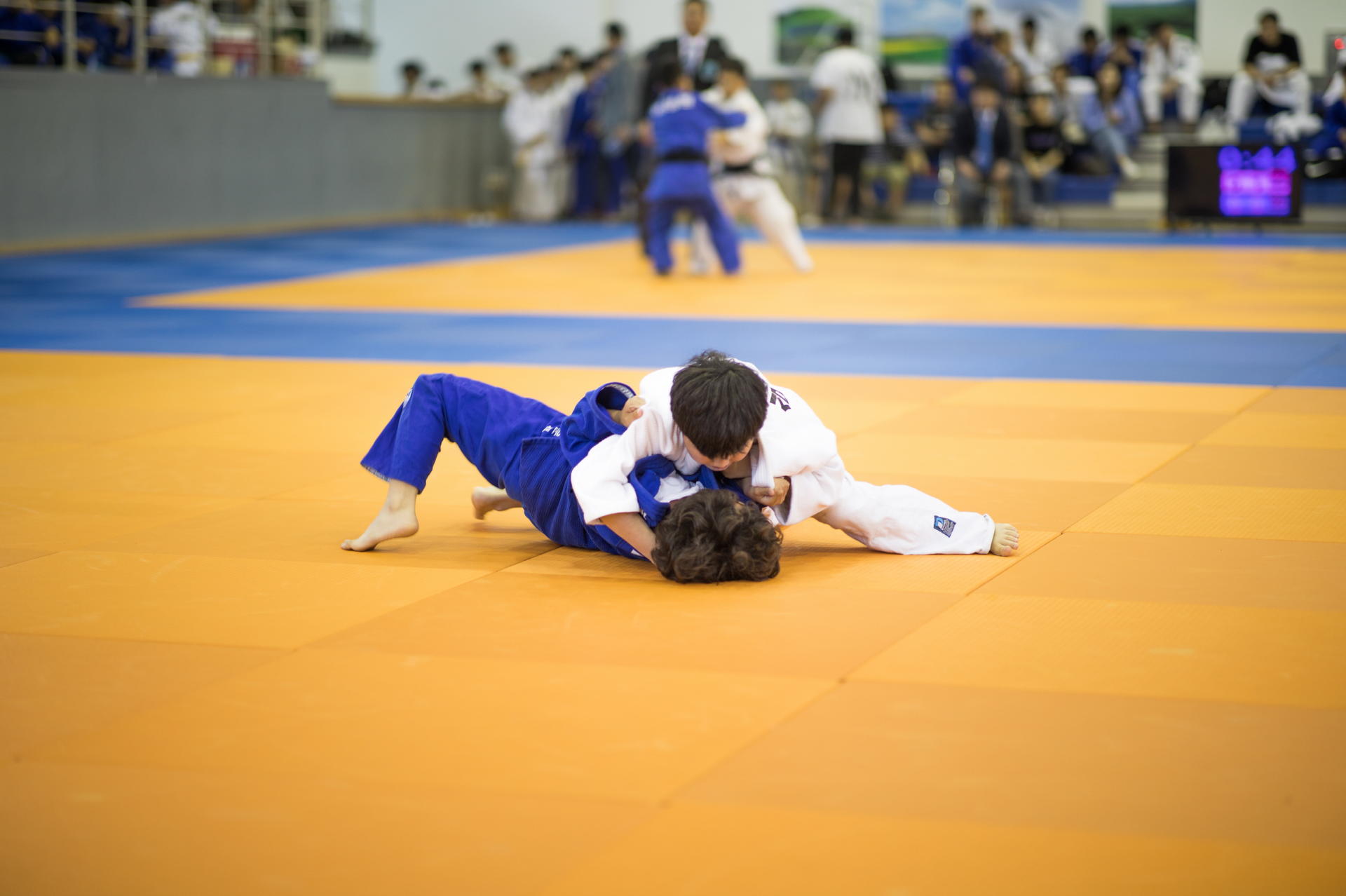 5b14bf6e4a309.jpg