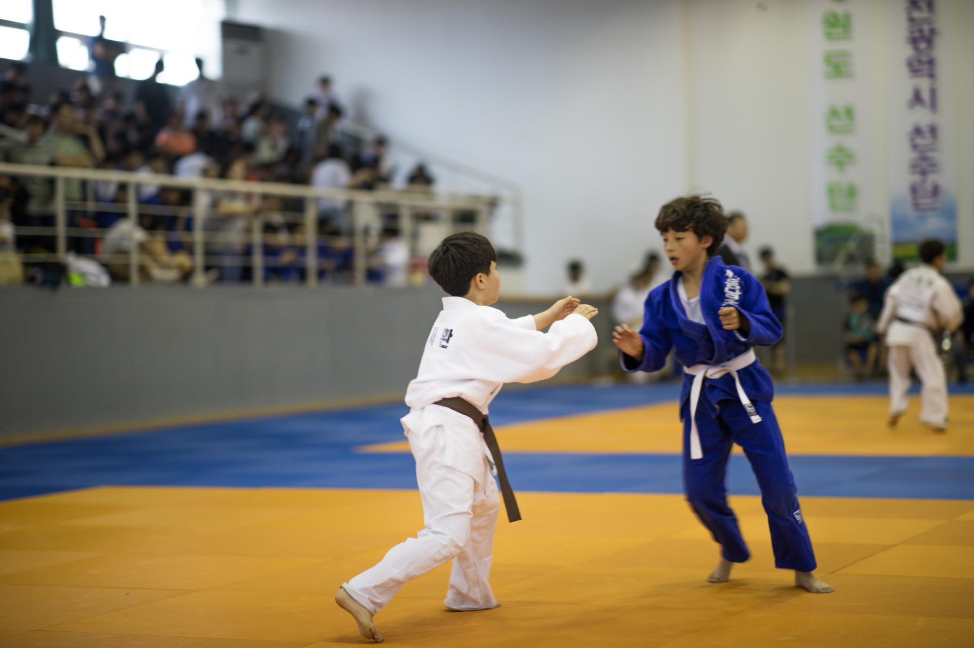 5b14bf6ec5c5a.jpg