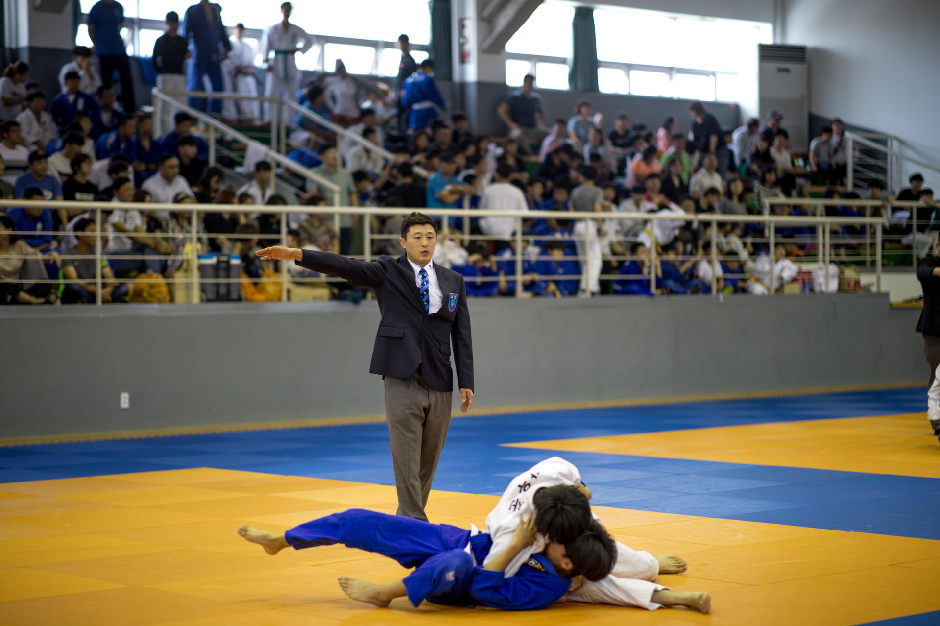 5b14bf6f54dc1.jpg