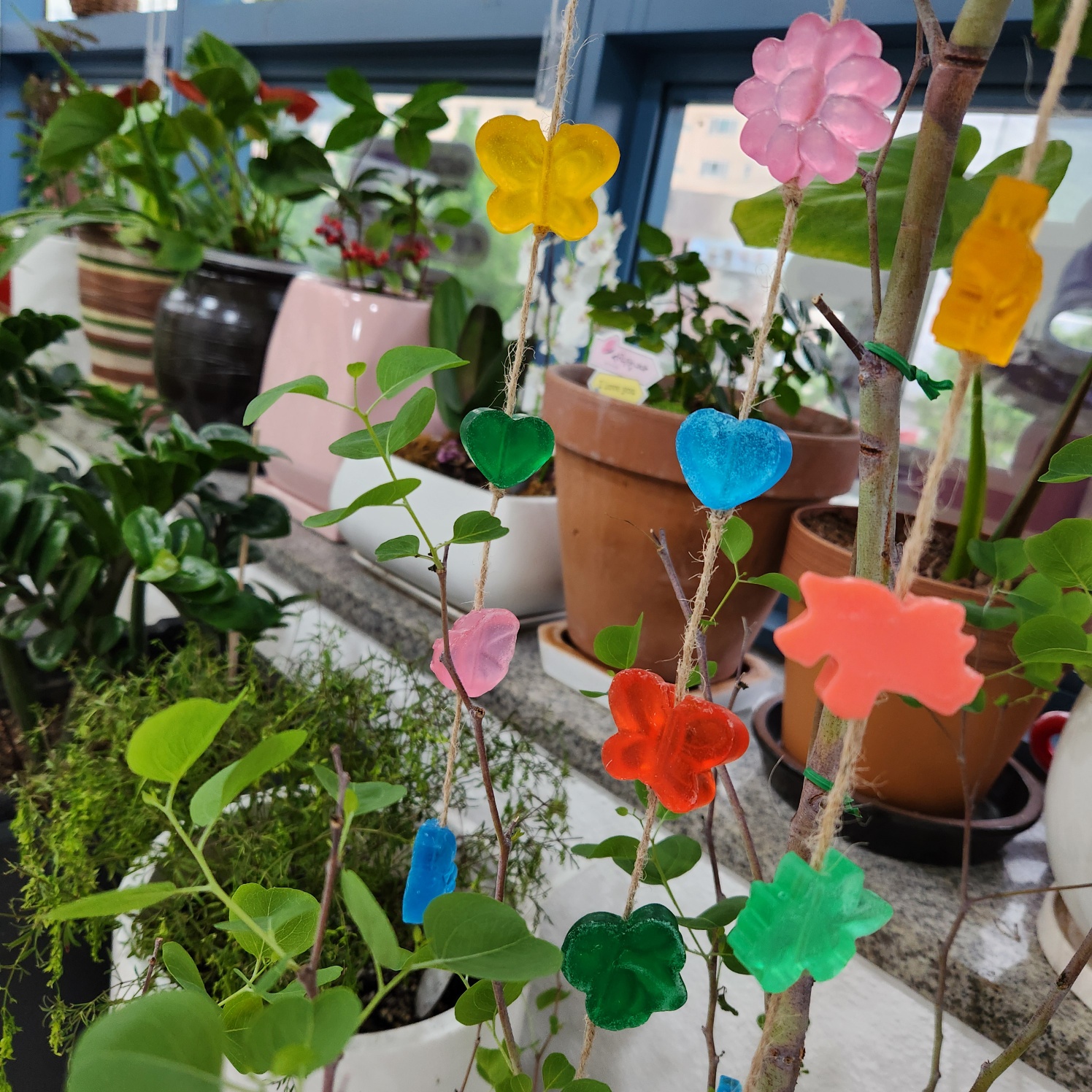 Leon Casino Gaming Interface