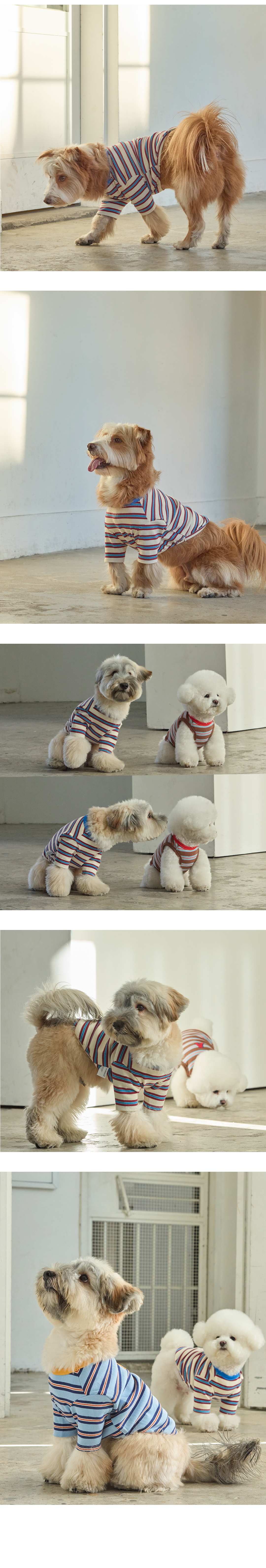 A 스티치 스트라이프 반팔 : 아이보리