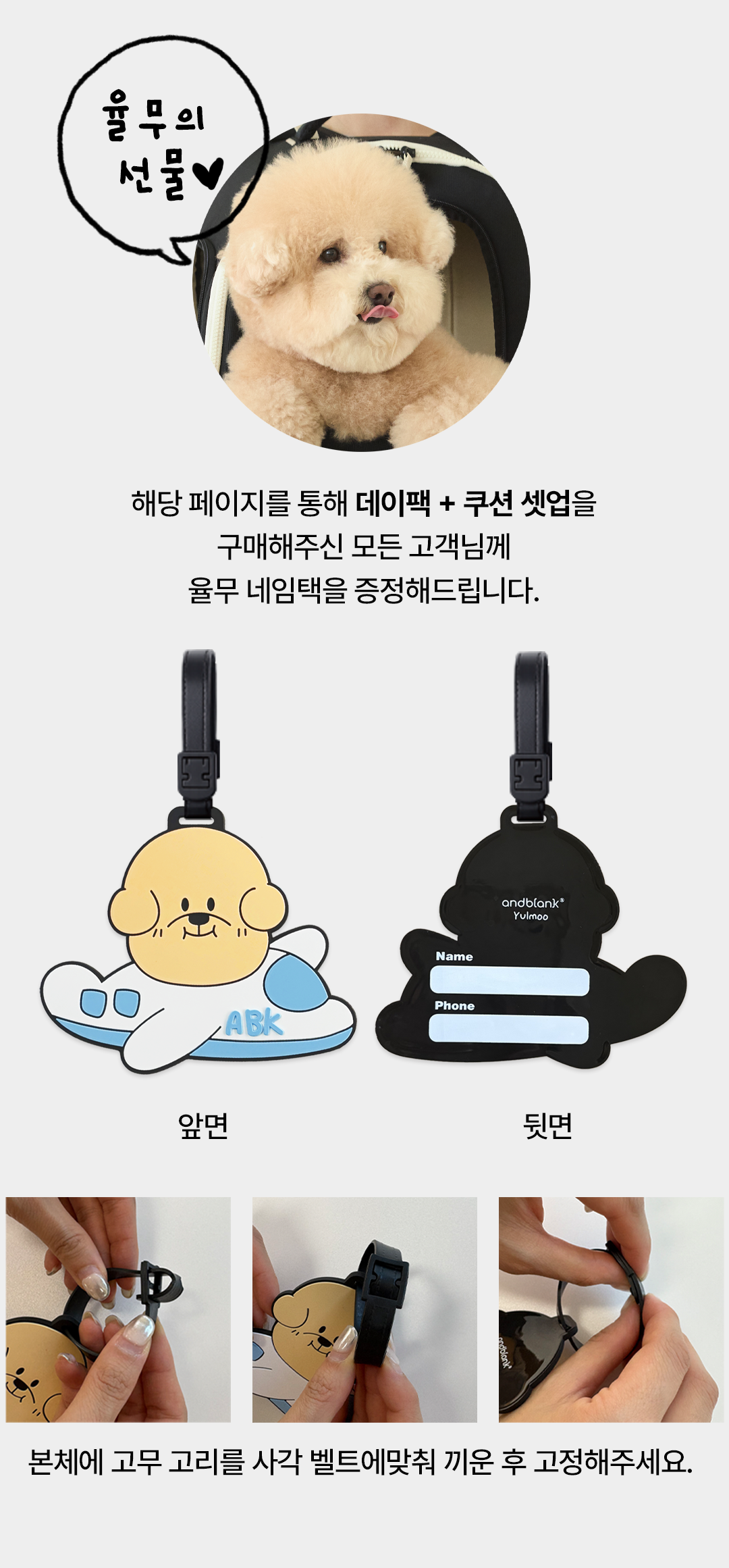 테스트