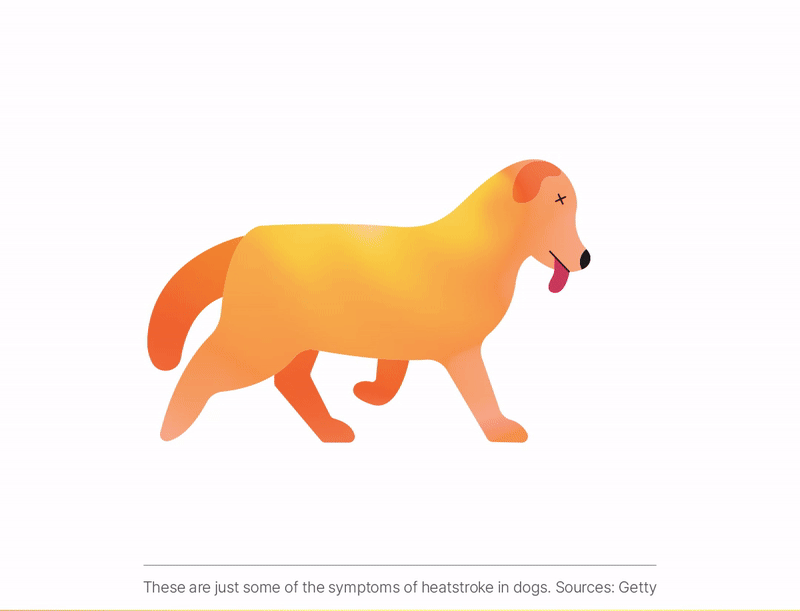 조이베어 스트라이프 양면 쿨매트