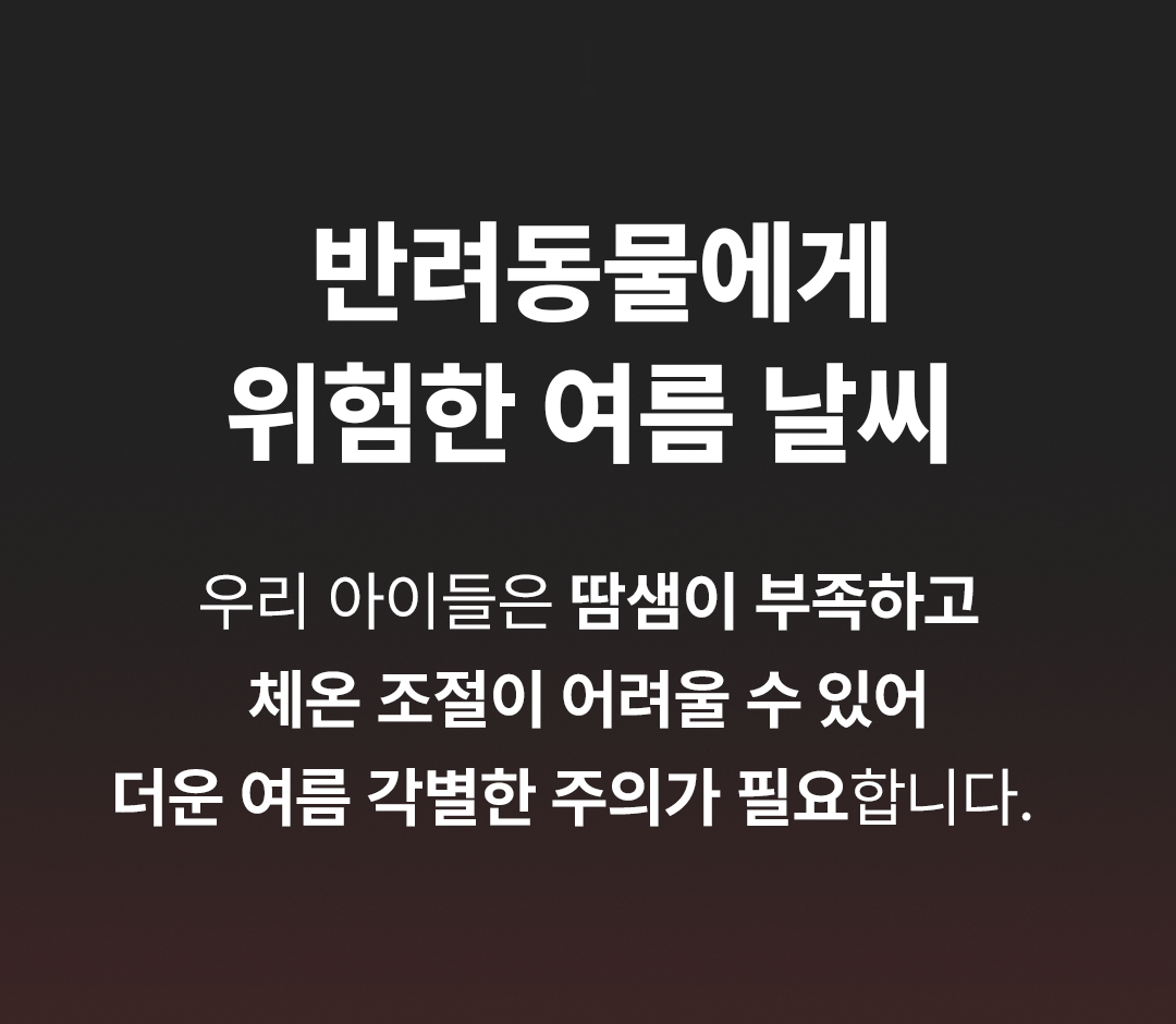 조이베어 스트라이프 양면 쿨매트