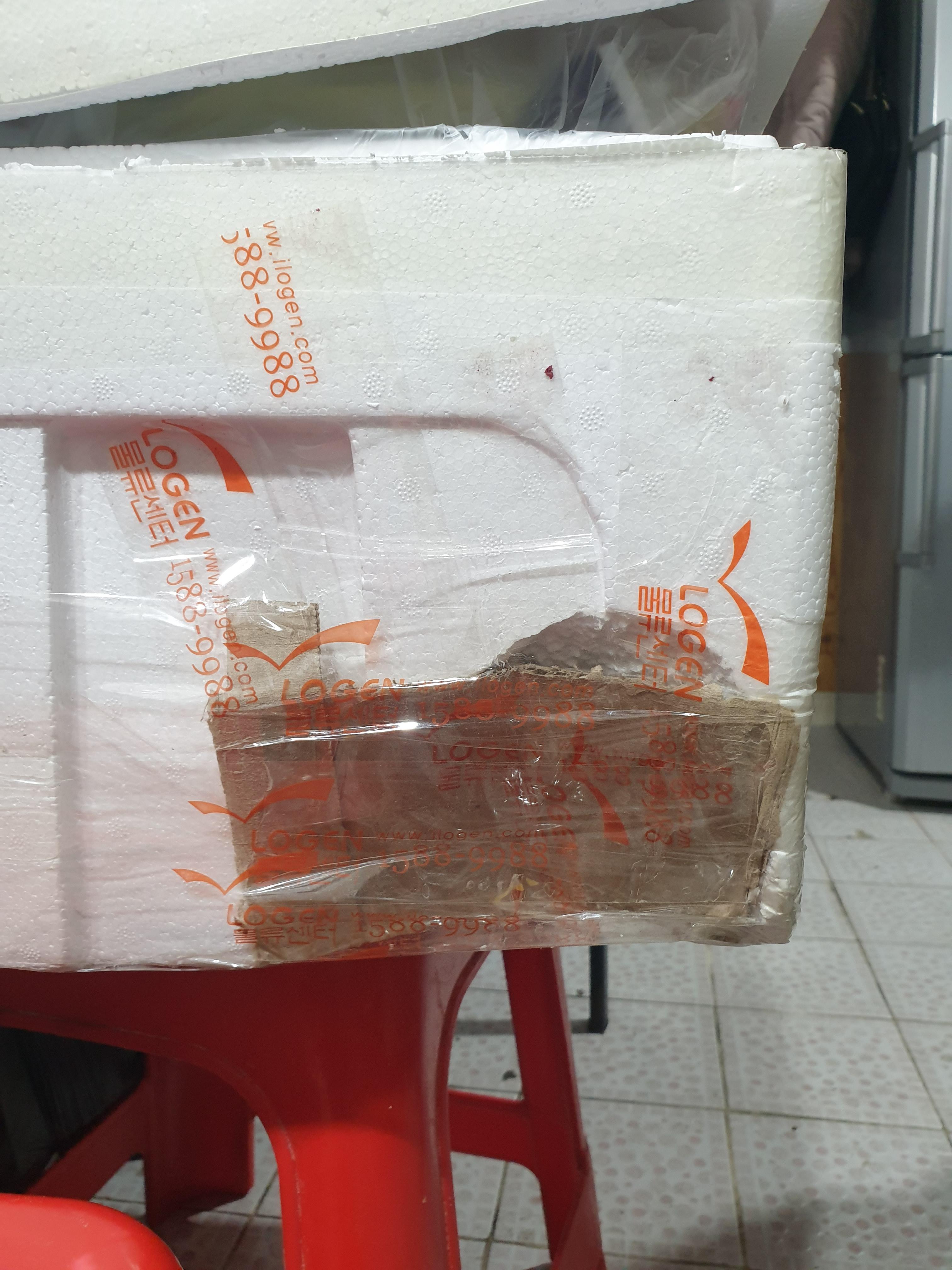 f5318e7b374fa.jpg