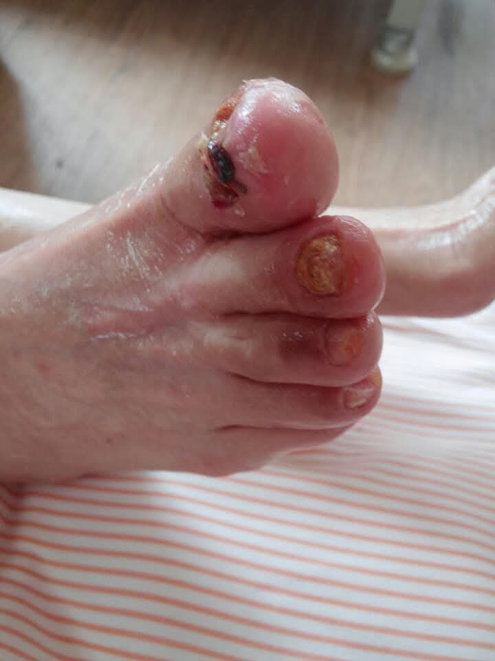 078632fc8d262.jpg