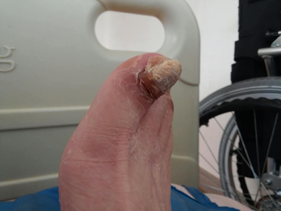 8245d1d7486d4.jpg