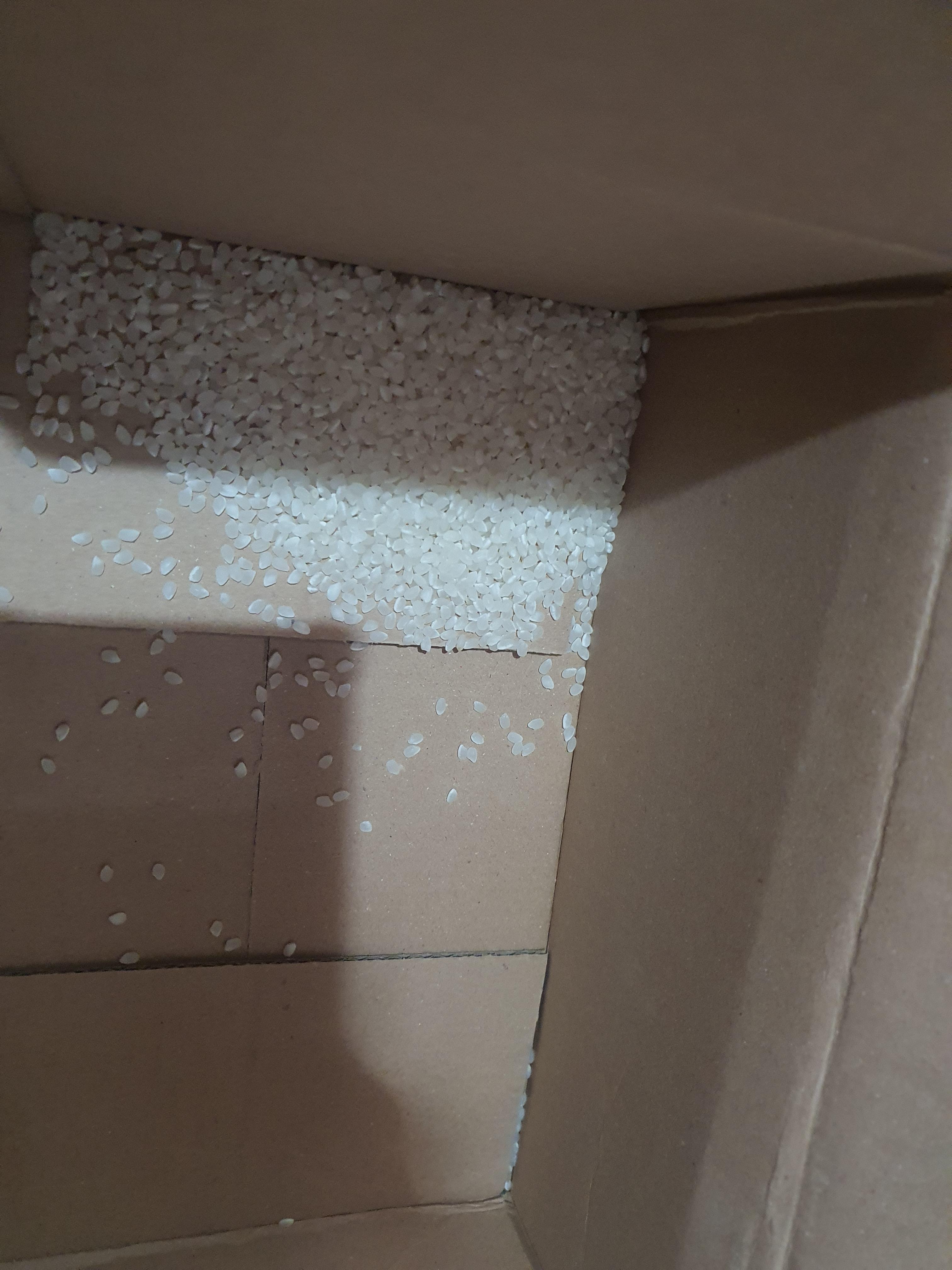 ca3fa91540987.jpg