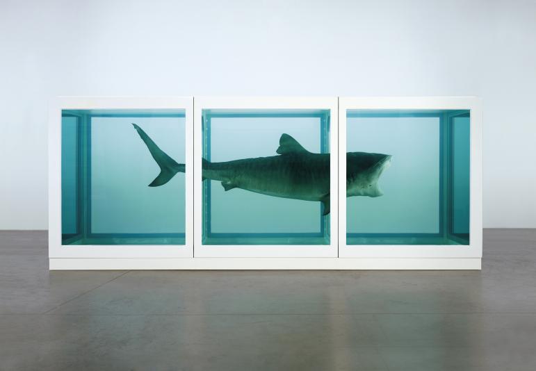 The Physical Impossibility of Death in the Mind of Someone Living, 1991  Image: Photographed by Prudence Cuming Associates © Damien Hirst and Science Ltd. All rights reserved, DACS 2012