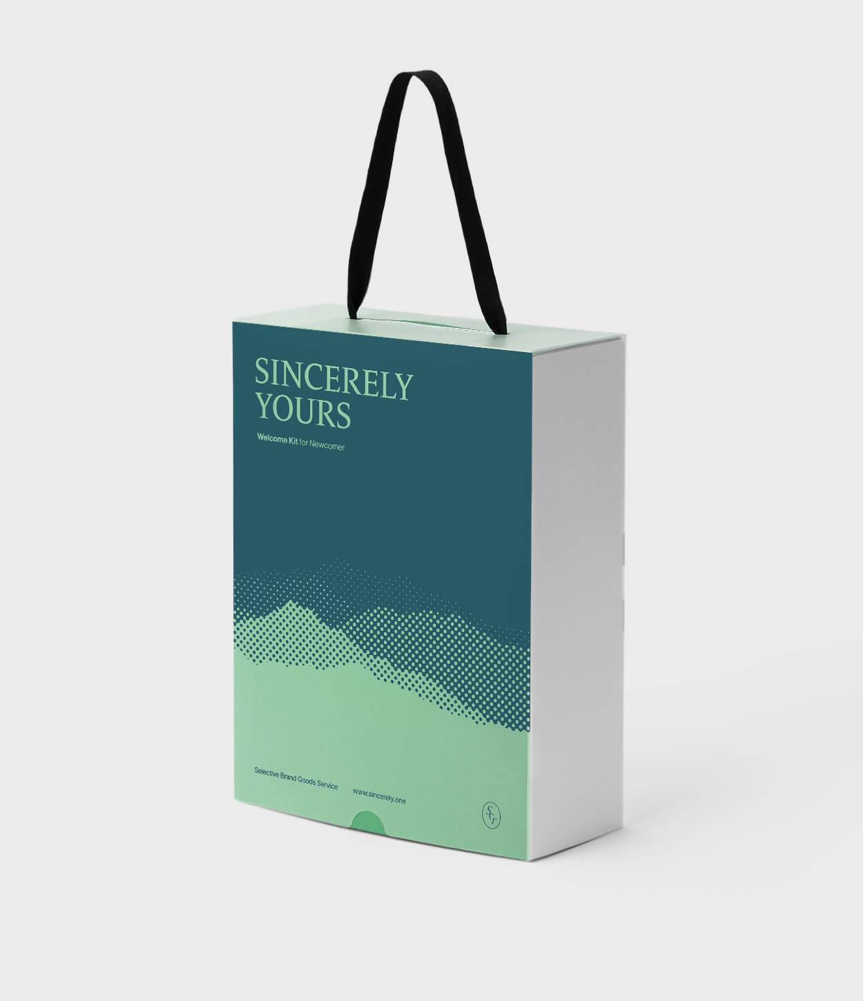 Display 스트랩 박스