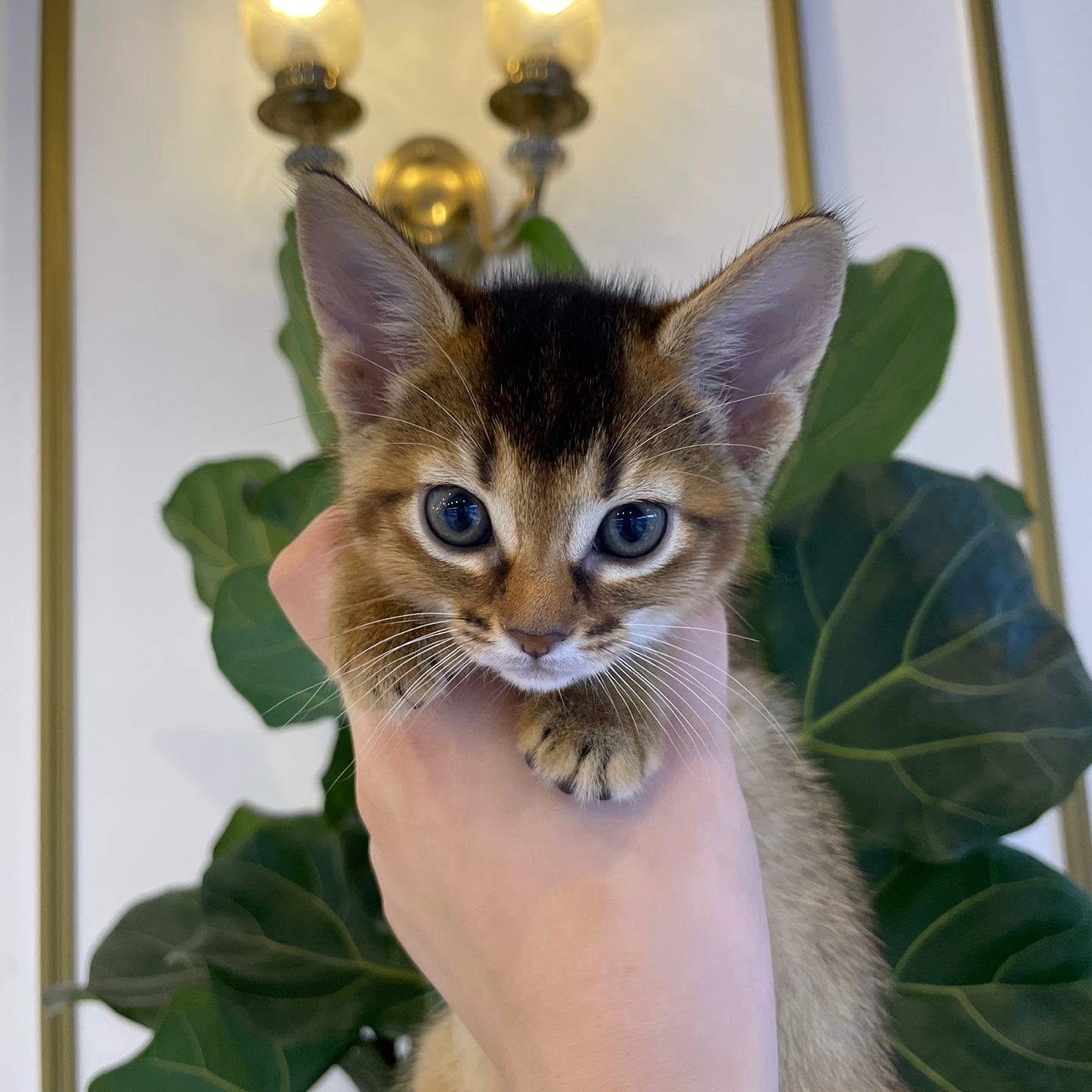 74130e954d7e4.jpg