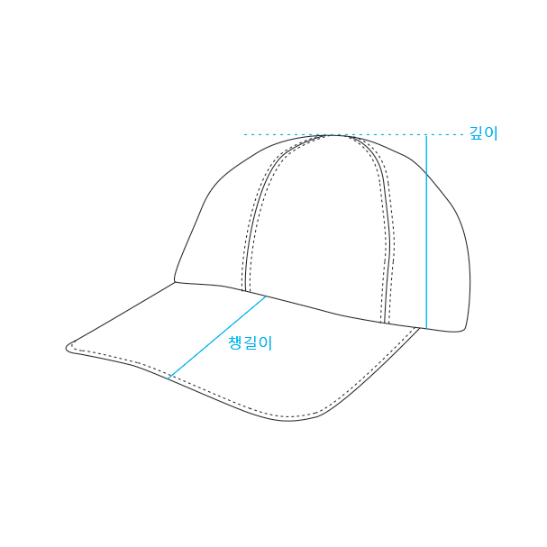 CAYL (케일) / Mesh Hiker Cap V2 / black