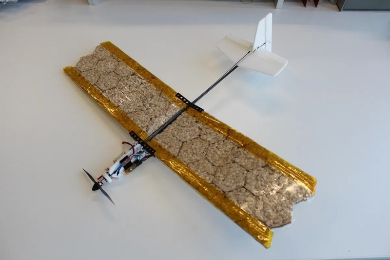 쌀과자로 날개를 만든 ‘식용 드론’. IEEE스펙트럼 제공