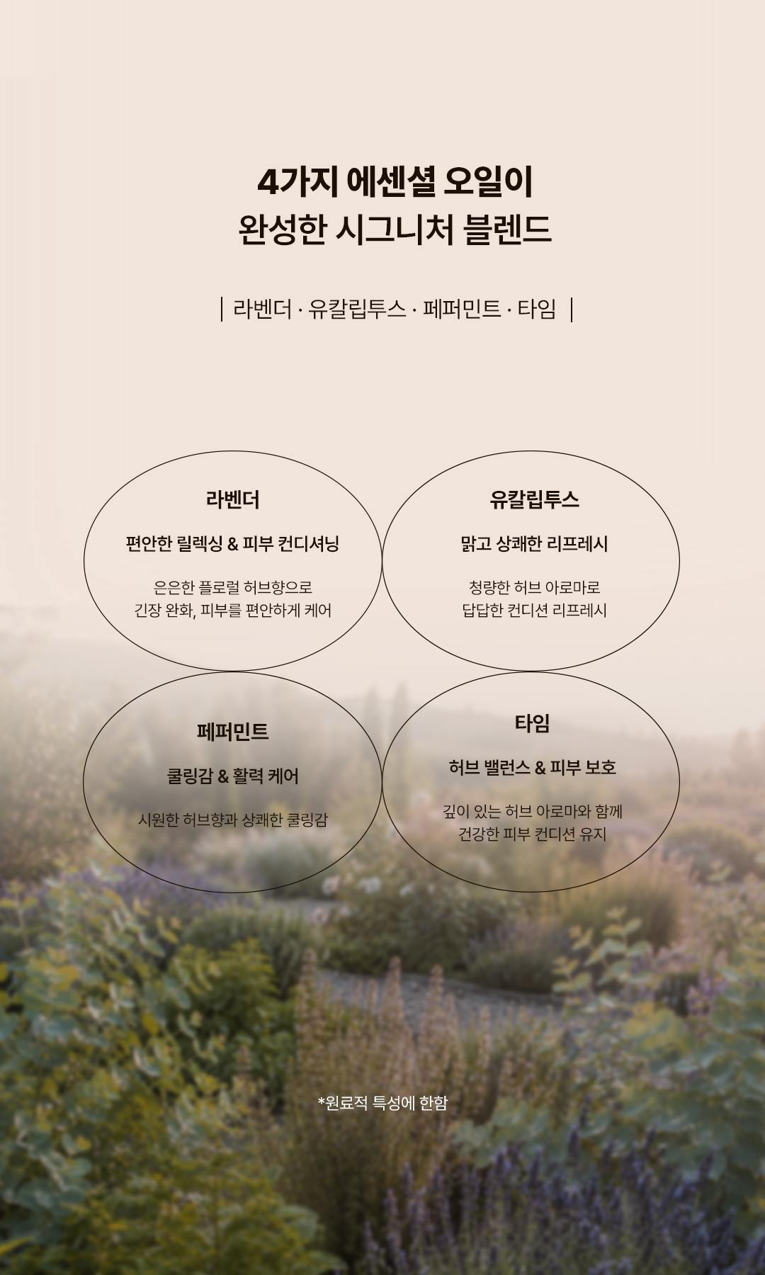아쿠아롬 브라운 라이트 150ml