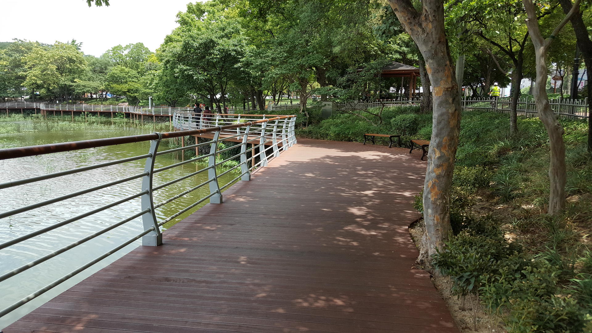 5c650f0d797c4.jpg