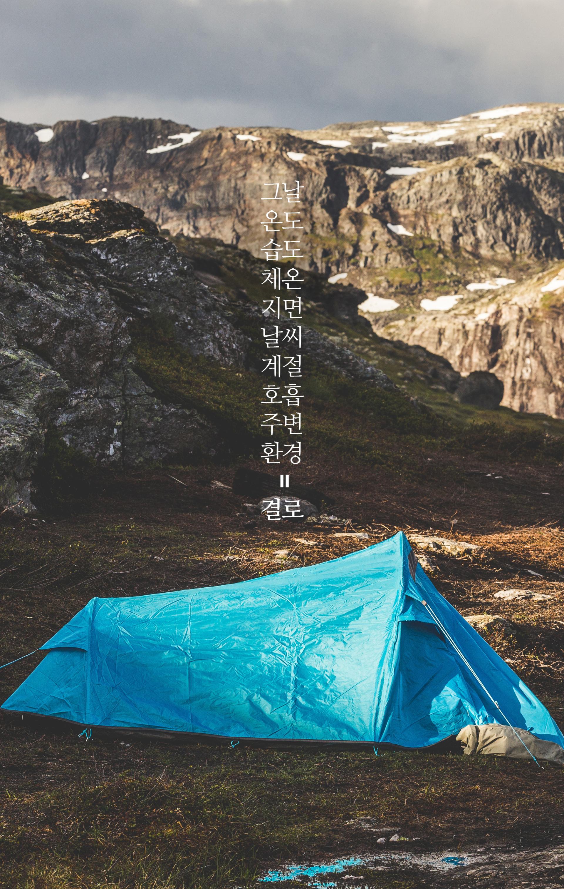 킵 드라이 스펀지