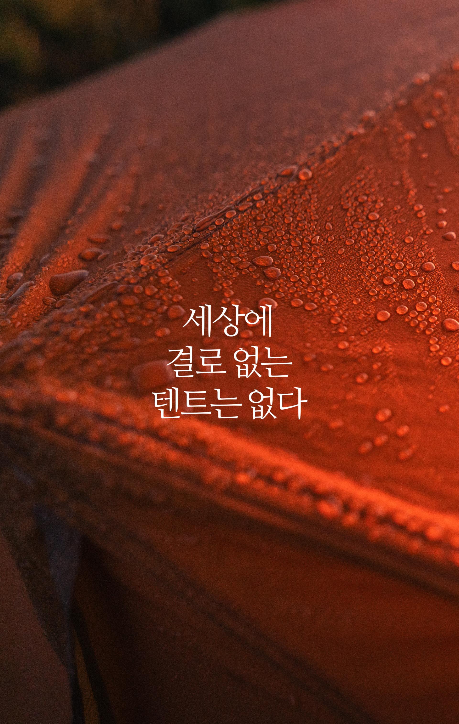 킵 드라이 스펀지