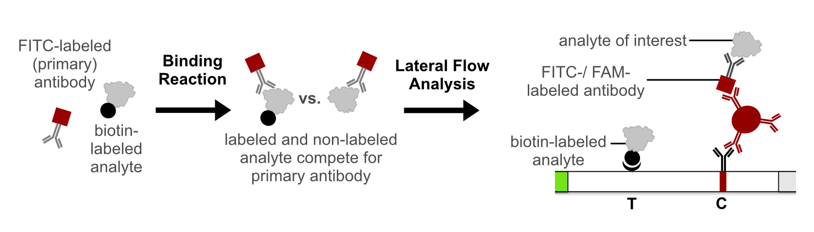 Competetive Lateral Flow Immunoassay