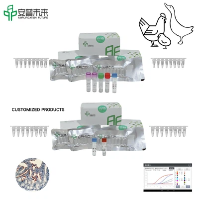 MIRA Newcastle Disease Virus Fluorescence Detection Kit