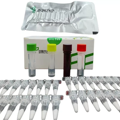 MIRA Pseudomonas Aeruginosa Fluorescence Detection Kit Research Use Only
