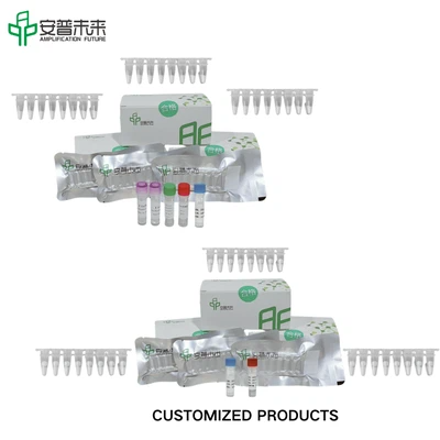 MIRA Neisseria Gonorrhoeae Nucleic Acid Test Strip Detection Kit Research Use Only