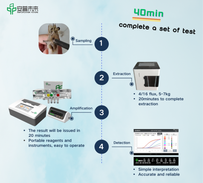 Mini P4 & Mini P16 Nucleic Acid Purification System