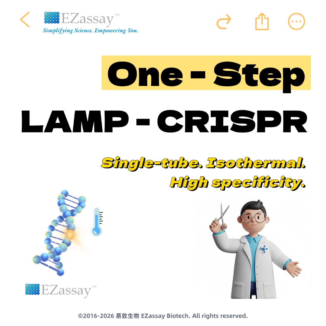0e02ef89a4616.jpg