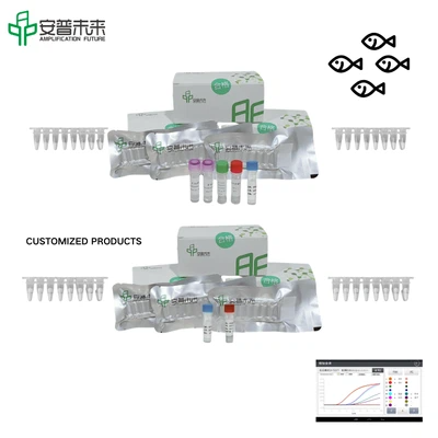 MIRA Siniperca Chuatsi Rhabdovirus Fluorescence Detection Kit