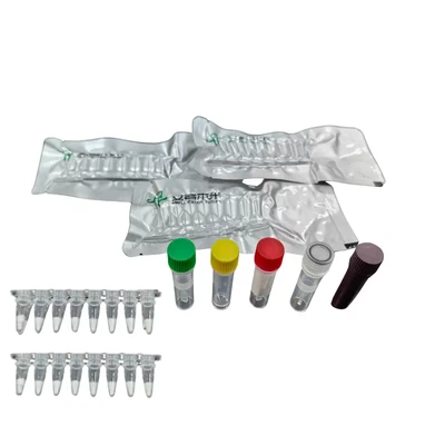 MIRA Brucella Fluorescence Detection Kit Research Use Only