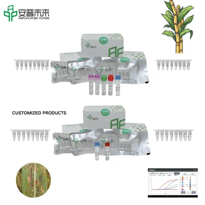 MIRA Sugarcane Yellow Leaf Virus Fluorescence Detection Kit