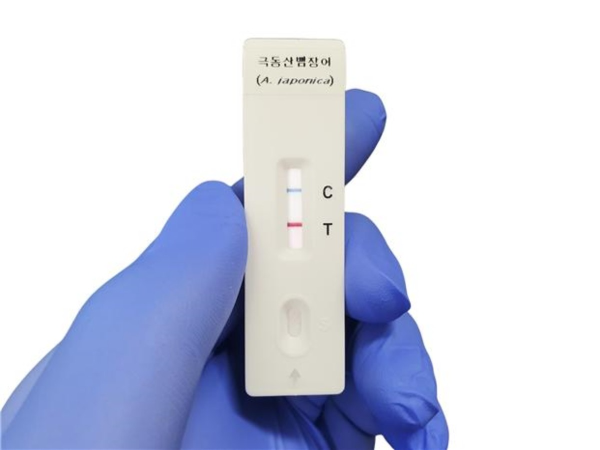 극동산 뱀장어 신속 판별 키트 / 국립수산과학원 제공