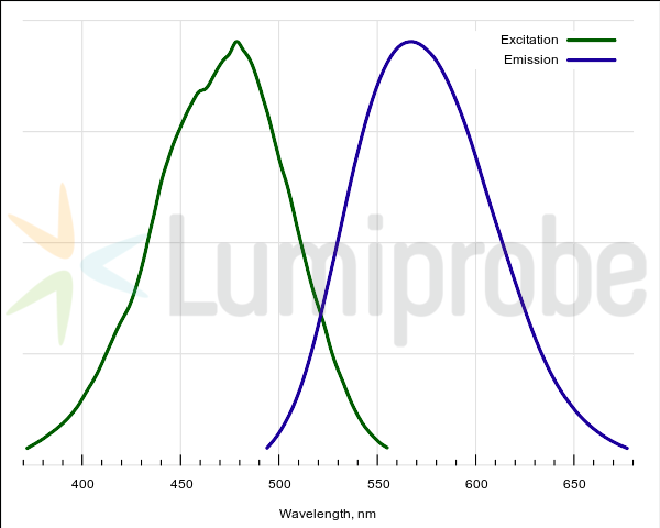 Excitation and emission spectra of ProteOrange complex with protein