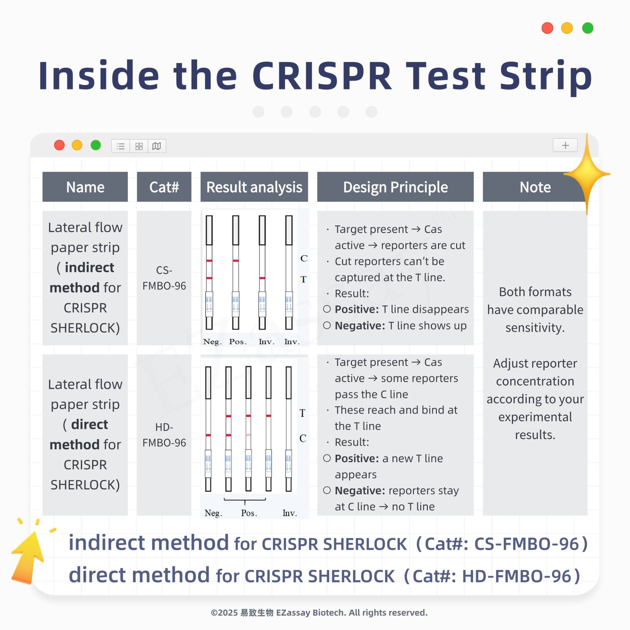 문구: 'Inside the CRISPR Test Strip Name Cat# Result analysis Lateral flow Design Principle Note aper strip indirect method for CRISPR SHERLOCK) Cas CS- FMBO 96 Target present active reporters can't cut captured tthe line. Positive: line disappears Negative: line shows Both formats have comparable sensitivity. Lateral flow strip direct method for CRISPR SHERLOCK) present active some reporters HD- FMB0-96 bind reporter concentration accordingtoyo experimental results. These reach line Result: Positive: a new line Nog. Pos. appears Negative: reporters stay Tline indirect method for CRISPR SHERLOCK (Cat#: CS-FMBO-96) direct method for CRISPR SHERLOCK (Cat#: HD-FMBO-96) ®2025 易致生物 Biotech. reserved.'의 이미지일 수 있음
