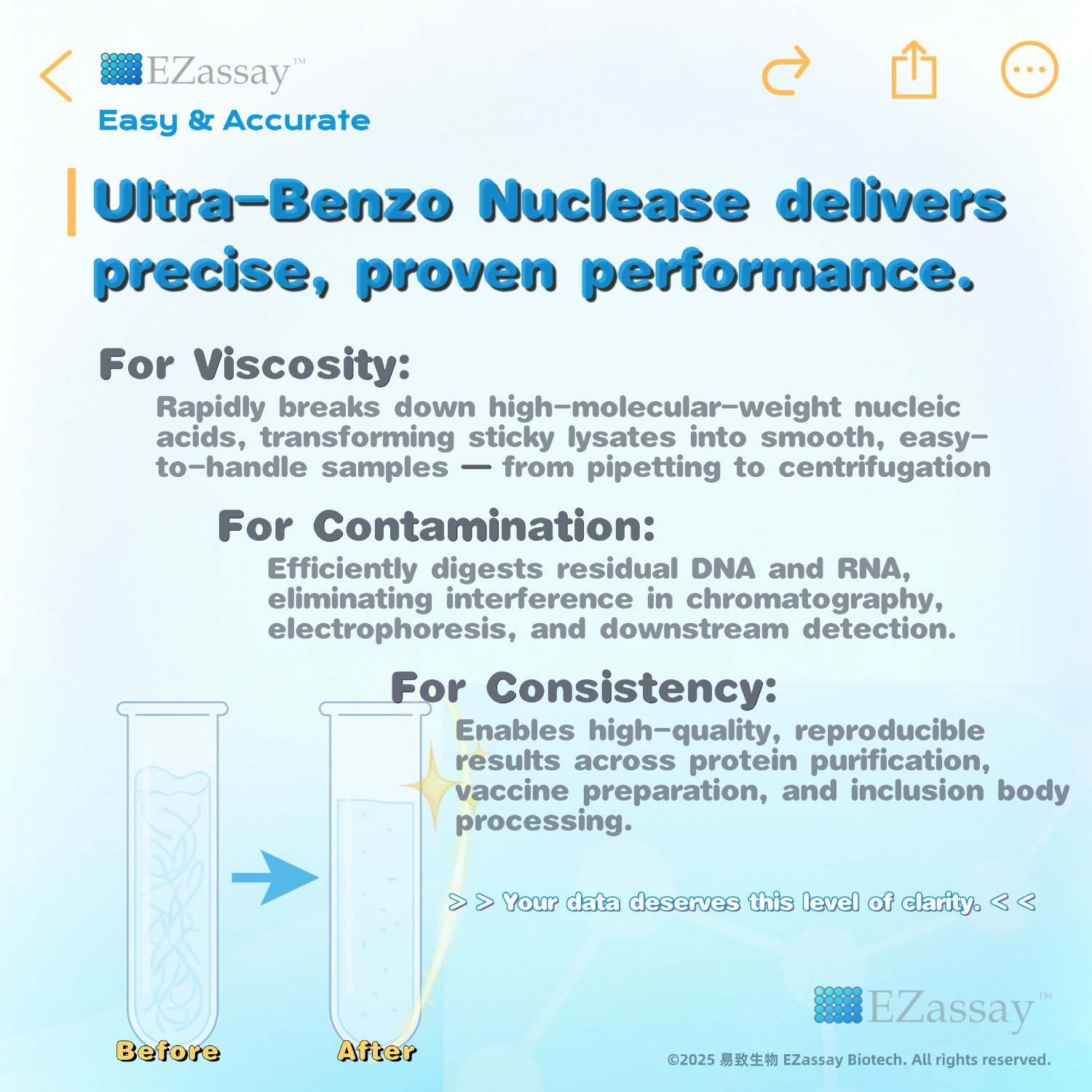 문구: 'EZassay" Easy & Accurate I Ultra-Benzo Nuclease delivers precise, proven performance. For Viscosity: Rapidly breaks down high-molecular-weight nucleic acids, transforming sticky lysates into smooth, - to-handle samples from pipetting to centrifugation For Contamination: Efficiently digests residual DNA and RNA, eliminating interference in chromatography, electrophoresis, and downstream detection. For Consistency: Enables high-quality reproducible results across protein purification, vaccine preparation, and inclusion body processing. > Your data deserves this level of clarity. < ぐ < Before After EZassay @2025 易致生物 EZassay Biotech. AIL rights reserved.'의 이미지일 수 있음