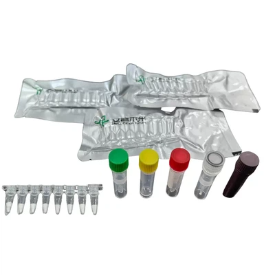 MIRA Porcine Pseudorabies Virus GE Gene Fluorescence Detection Kit