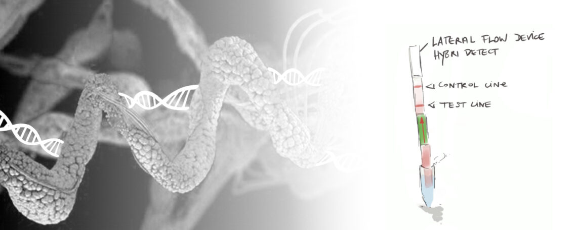 An abstract graphic of a protein structure intertwined with a DNA double helix and a lateral flow test strip on a background that transitions from gray to white.