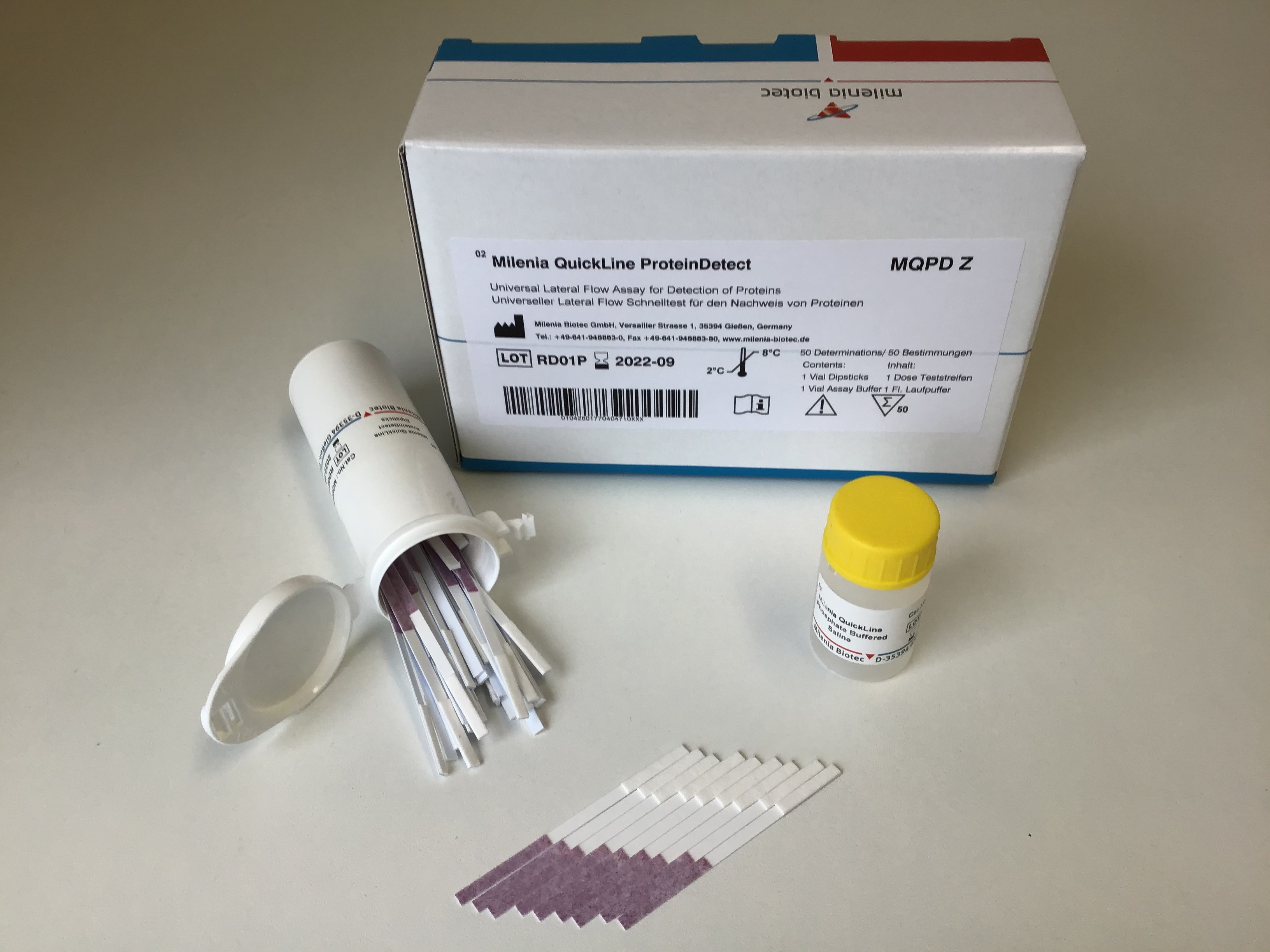 Protein Detect Kit