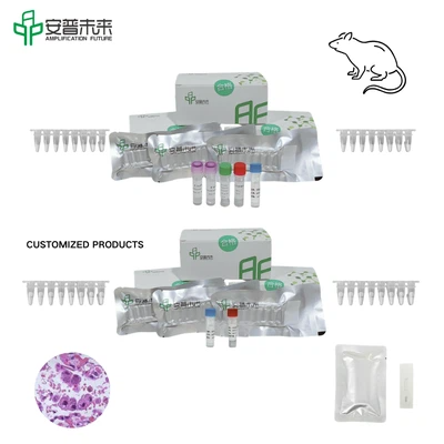 MIRA Yersinia Pestis Pla Gene Nucleic Acid Test Strip Detection Kit Research Use Only