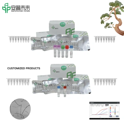 MIRA Bursaphelenchus Xylophilus Fluorescence Detection Kit