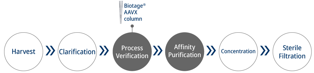 Biotage-AAVX-column-workflow