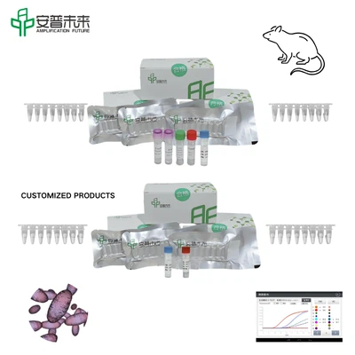 MIRA Yersinia Pestis Pla Gene Fluorescence Detection Kit Research Use Only