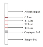 product-149-162 product-149-162